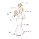 Los Accesorios de la Novia