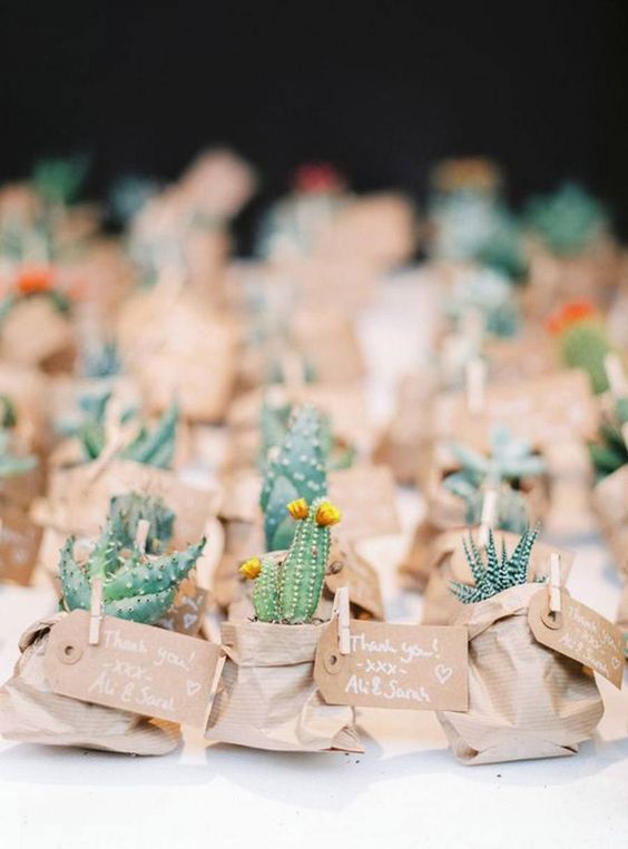 Plantas como Souvenir de boda